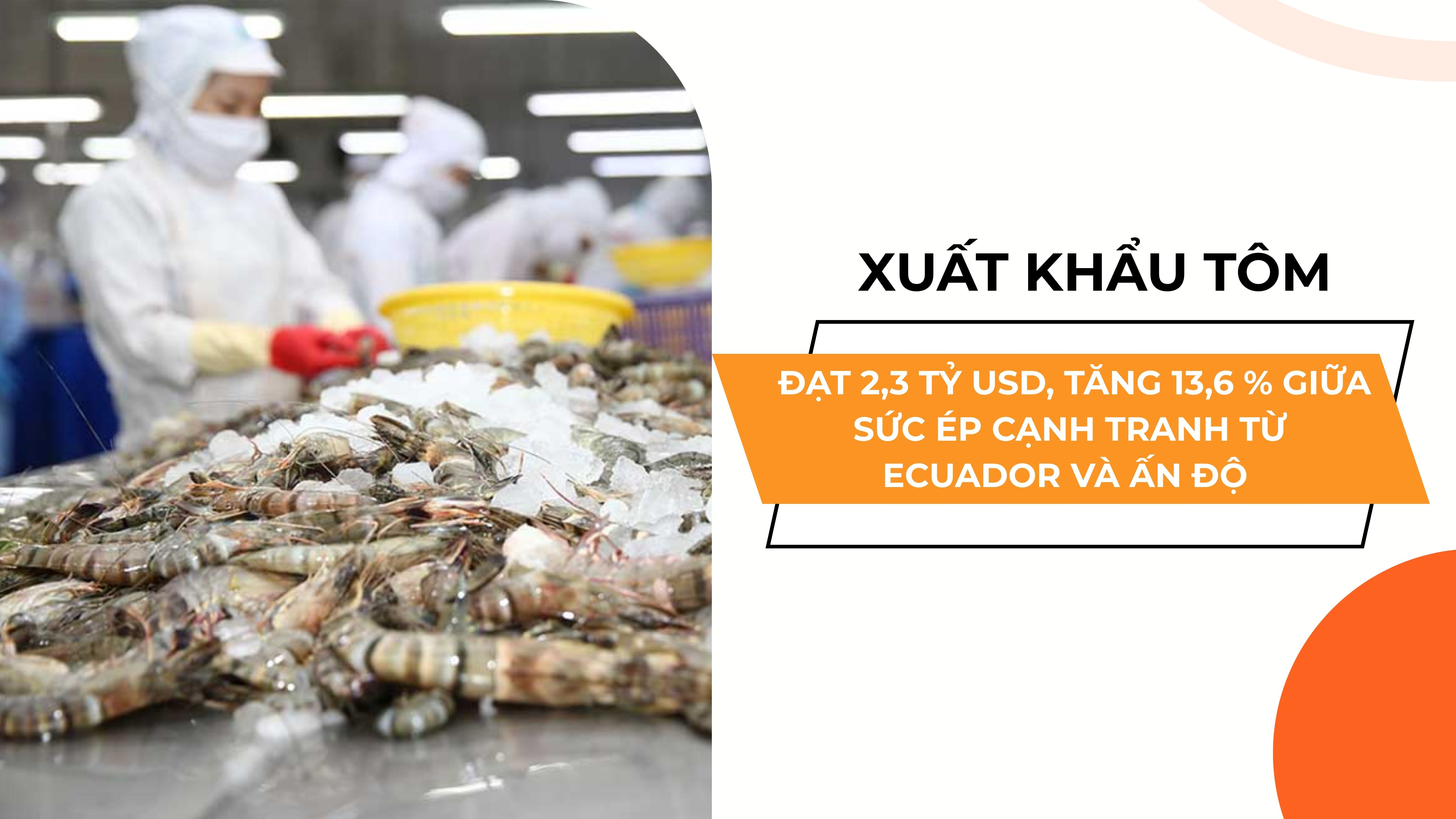 XUẤT KHẨU TÔM ĐẠT 2,3 TỶ USD, TĂNG 13,6 % GIỮA SỨC ÉP CẠNH TRANH TỪ ECUADOR VÀ ẤN ĐỘ 