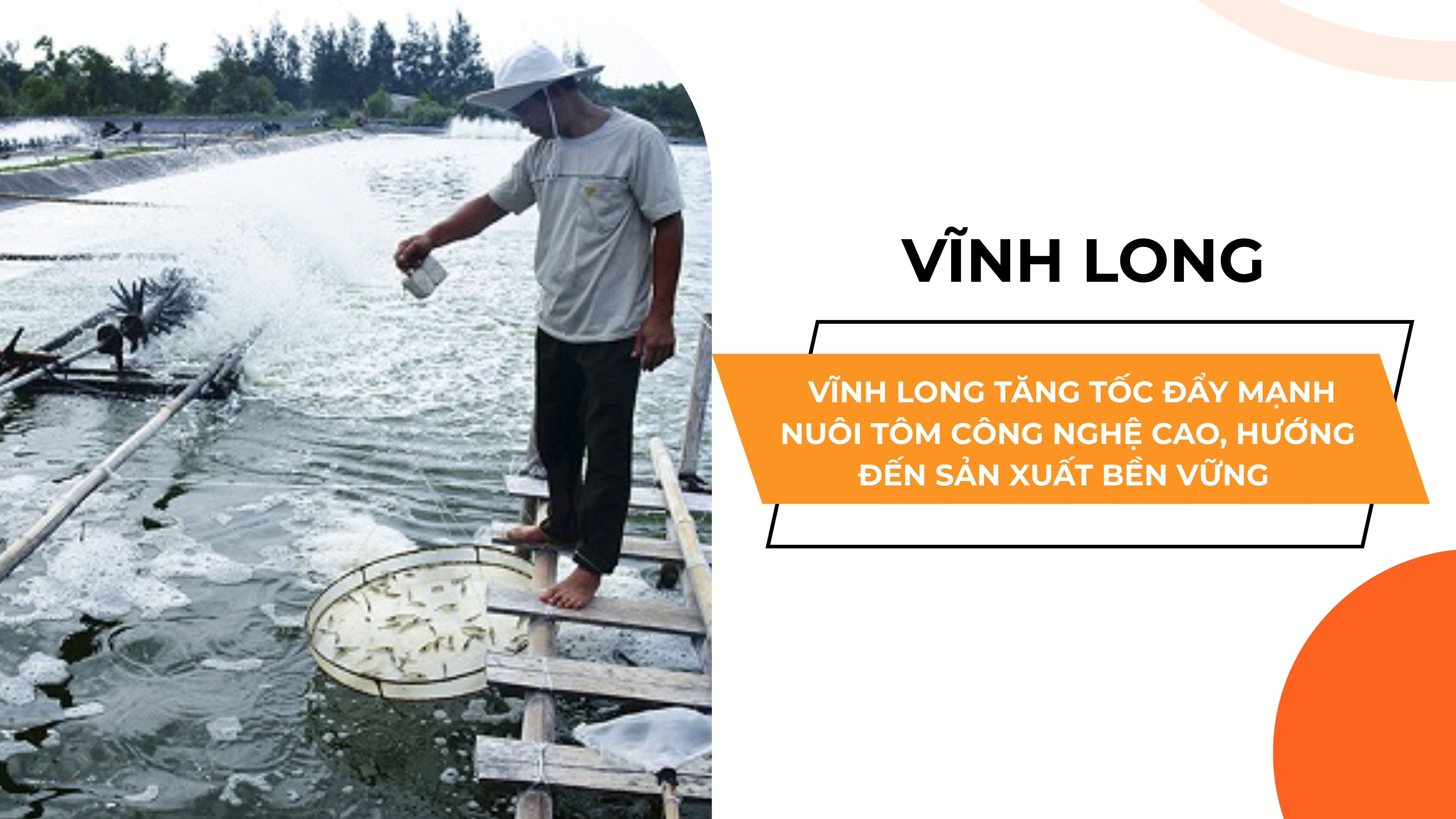 VĨNH LONG TĂNG TỐC ĐẨY MẠNH NUÔI TÔM CÔNG NGHỆ CAO, HƯỚNG ĐẾN SẢN XUẤT BỀN VỮNG 