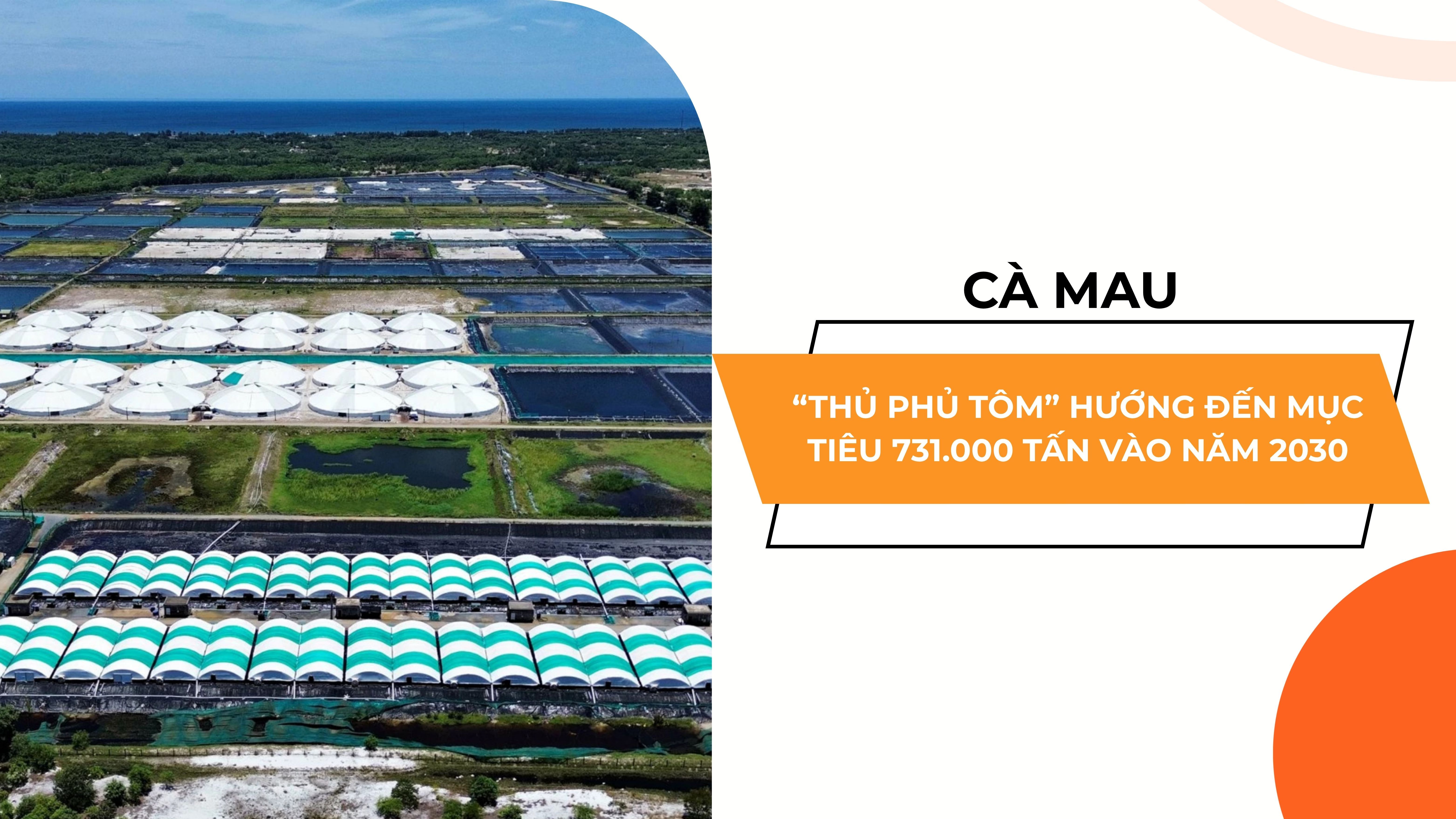 THỦ PHỦ TÔM CÀ MAU HƯỚNG ĐẾN MỤC TIÊU 731.000 TẤN VÀO NĂM 2030