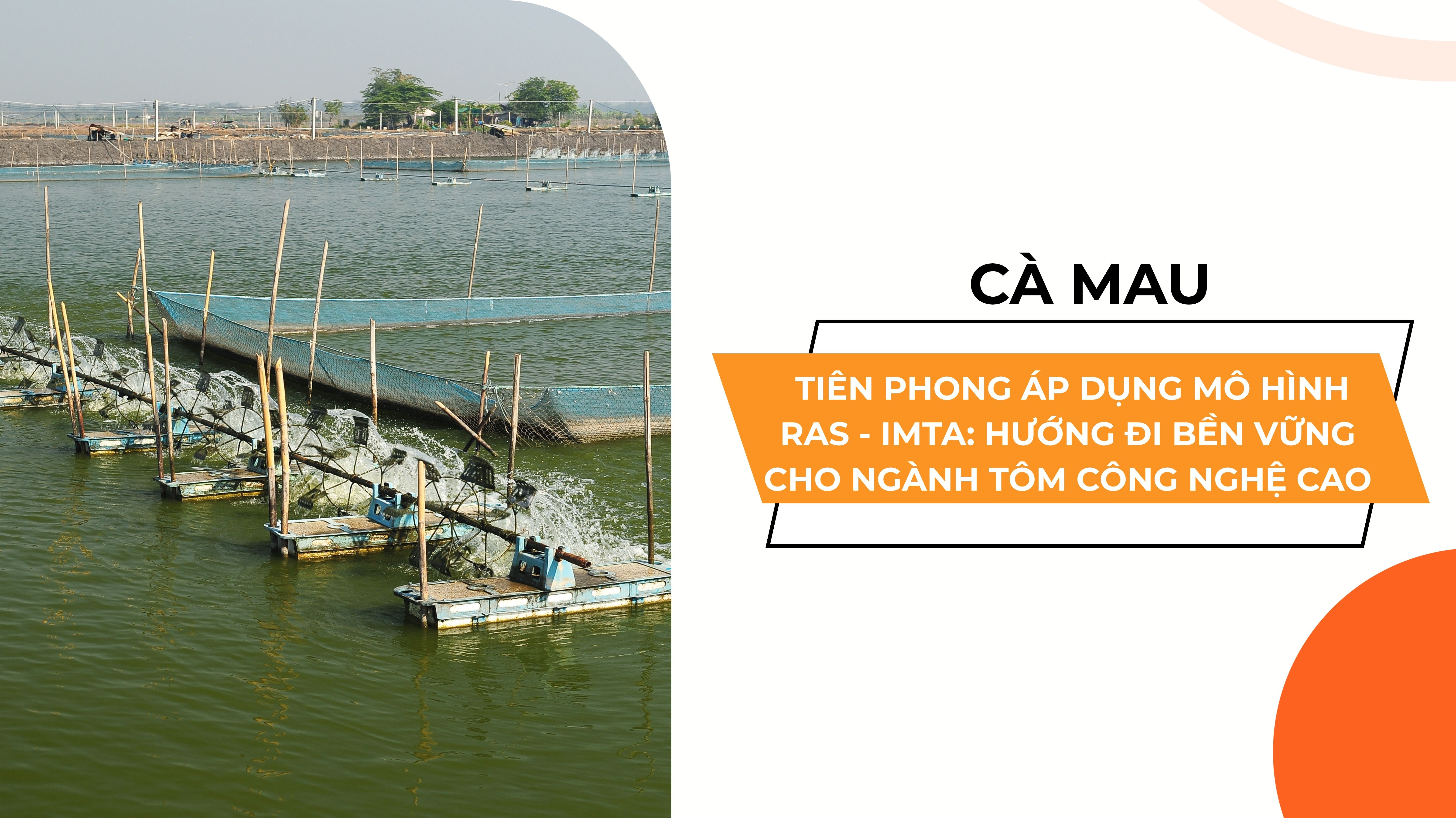  CÀ MAU TIÊN PHONG ÁP DỤNG MÔ HÌNH RAS - IMTA: HƯỚNG ĐI BỀN VỮNG CHO NGÀNH TÔM CÔNG NGHỆ CAO