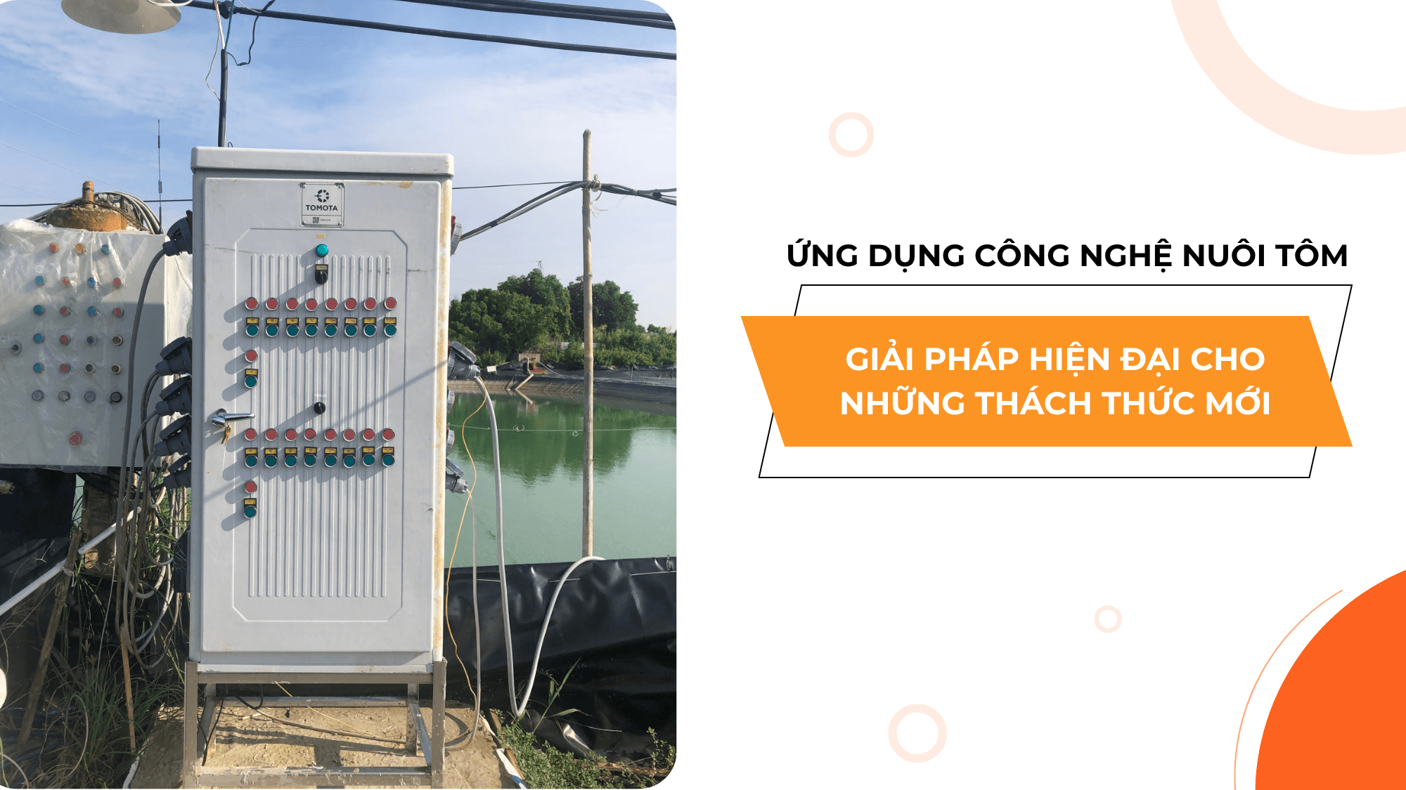 ỨNG DỤNG CÔNG NGHỆ TRONG NUÔI TÔM: GIẢI PHÁP HIỆN ĐẠI CHO NHỮNG THÁCH THỨC MỚI