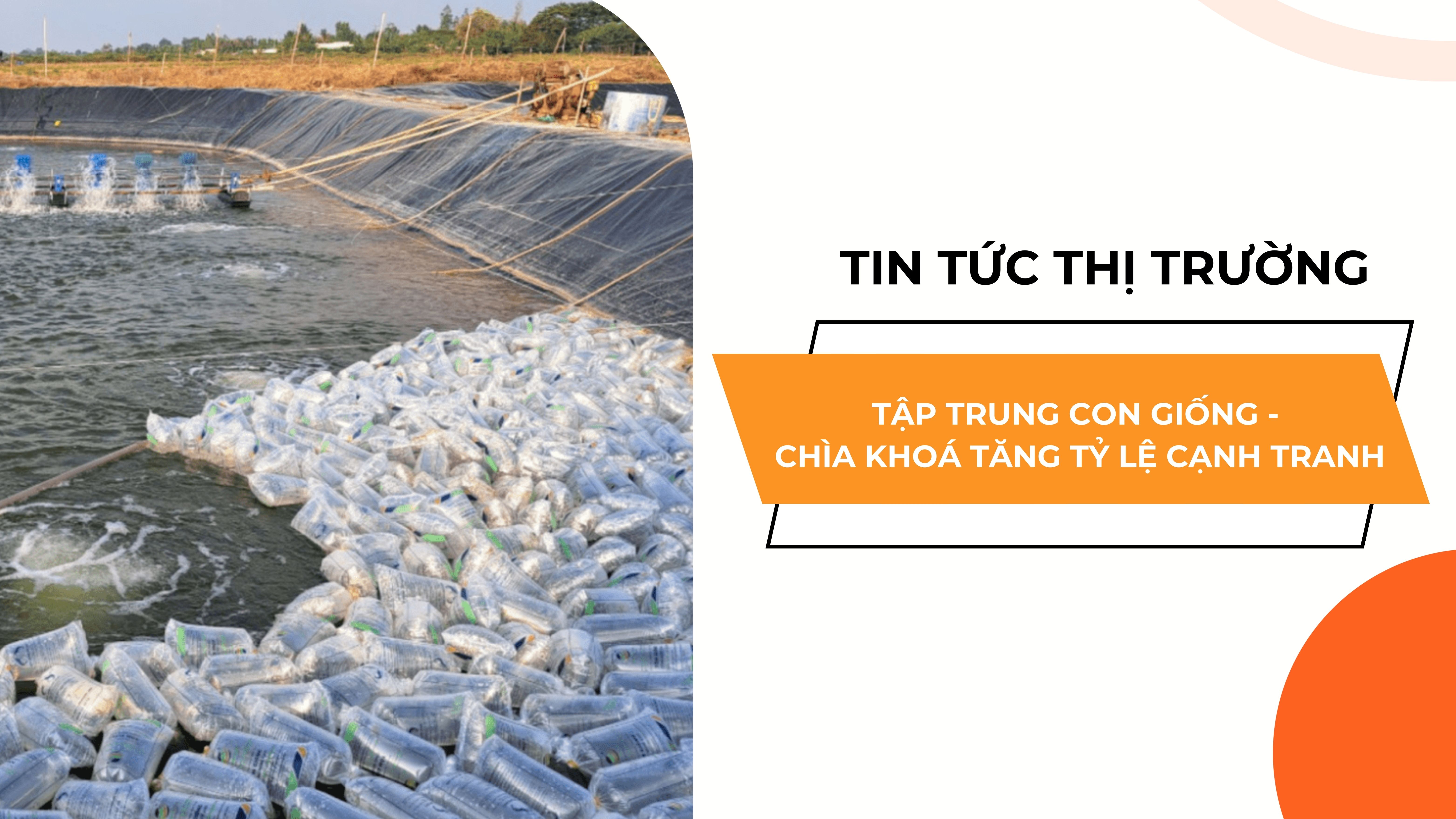TẬP TRUNG PHÁT TRIỂN CON GIỐNG - TĂNG TỶ LỆ CẠNH TRANH