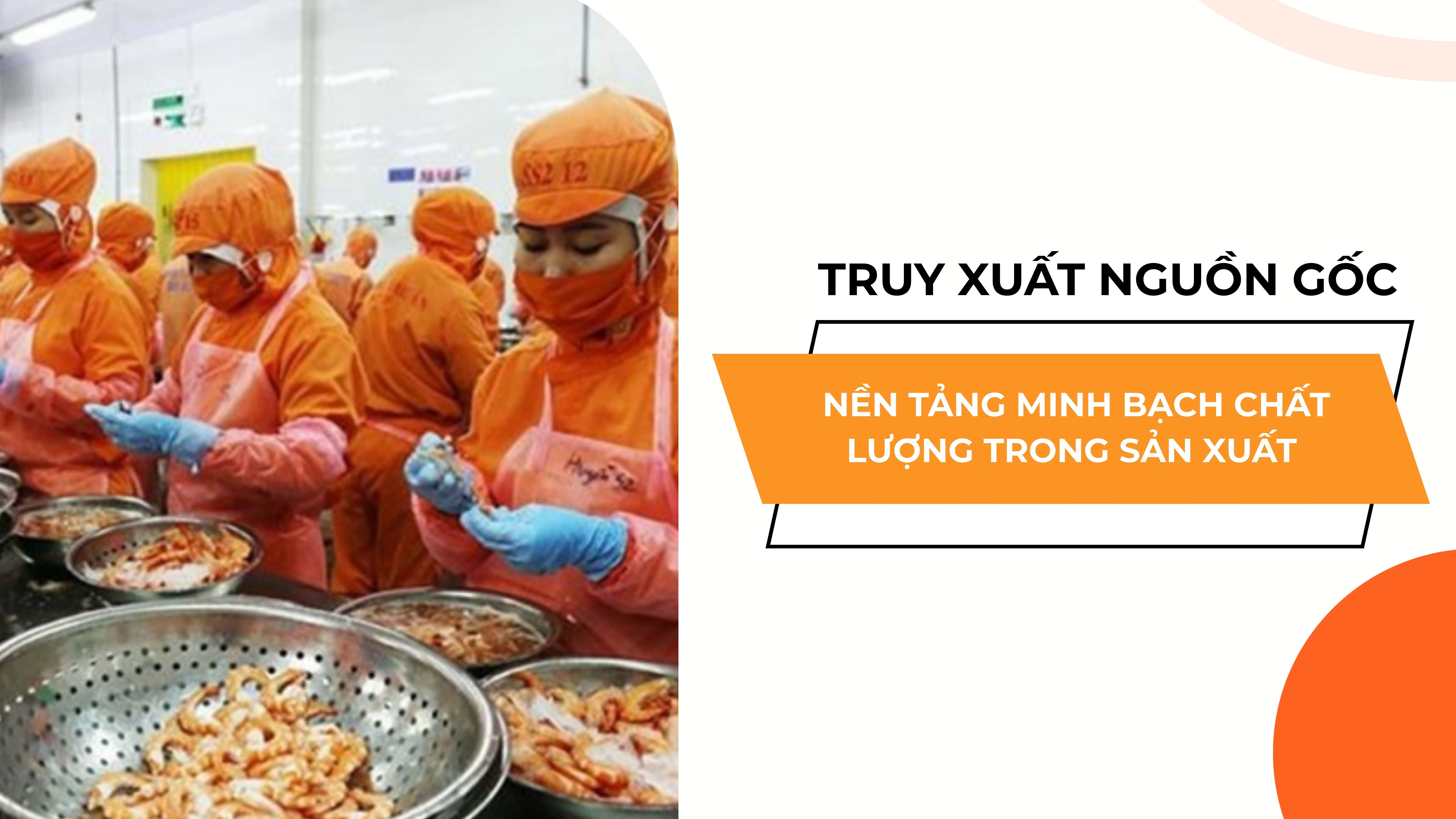TRUY XUẤT NGUỒN GỐC: NỀN TẢNG MINH BẠCH CHẤT LƯỢNG TRONG SẢN XUẤT