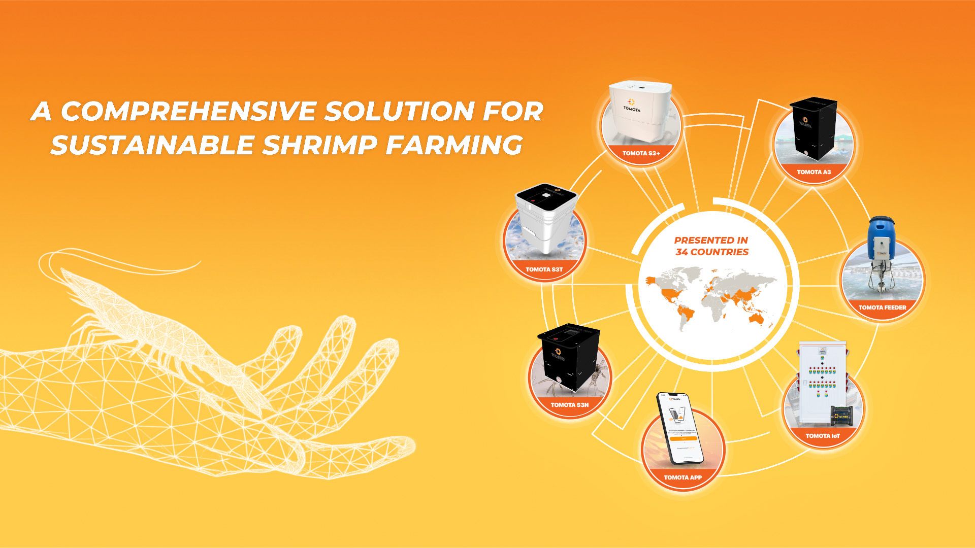 banner tiếng Anh.jpg