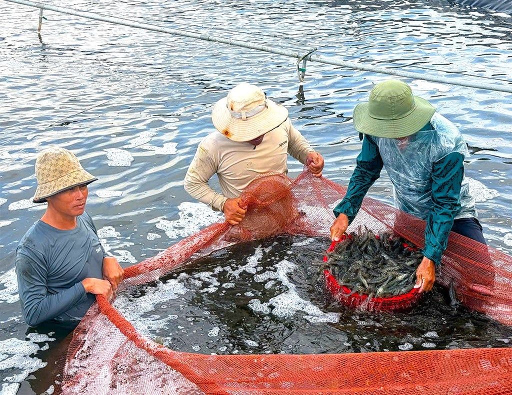 chuyển đổi số.jpg