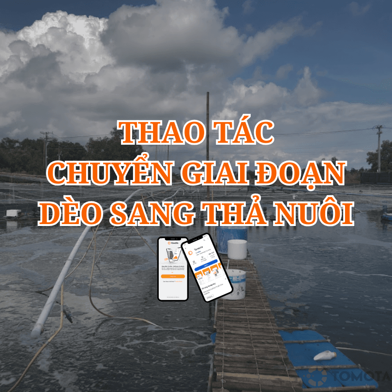 HƯỚNG DẪN THAO TÁC CHUYỂN GIAI ĐOẠN TỪ ĐANG DÈO SANG THẢ NUÔI