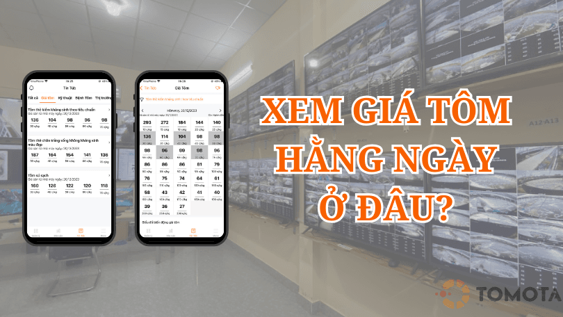 XEM GIÁ TÔM HẰNG NGÀY Ở ĐÂU?